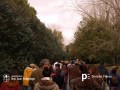 5. fiesta_del_kiwi519.jpg