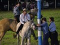 5. dsc_0769.jpg