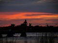 3. atardecer_en_la_laguna_los_horcones.jpg