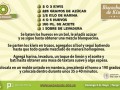 1. kiwi__matriz_receta_bizcochuelo.jpg