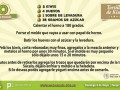 1. kiwi__matriz_receta__tortilla_.jpg