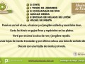 1. kiwi__matriz_receta_mojito_recuperado.jpg