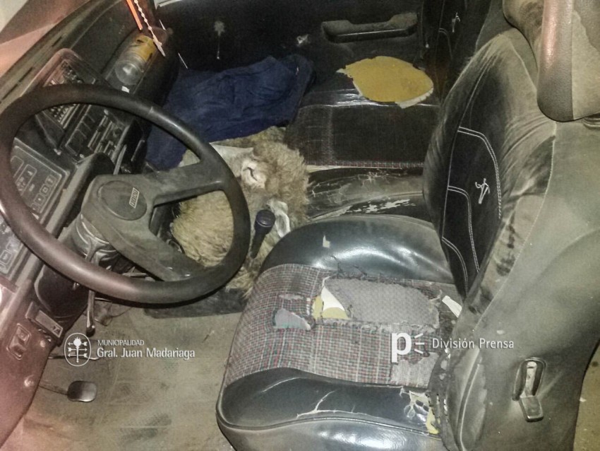 Aprehendieron a 4 personas por abigeato