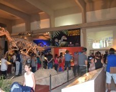 Muestra de dinosaurios y reptiles