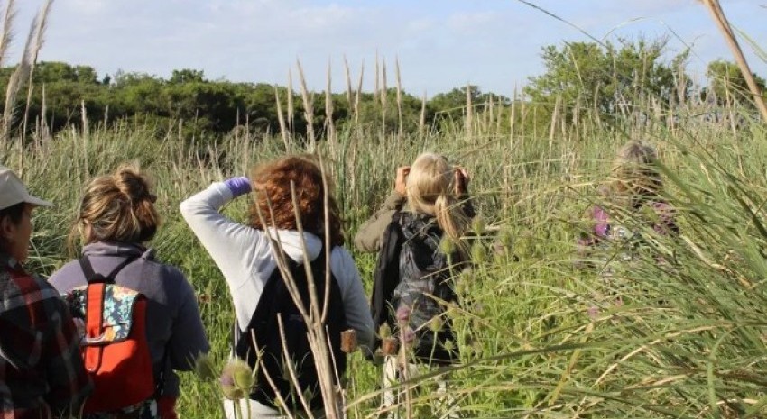 Realizarn el sbado un recorrido de interpretacin y avistaje de aves