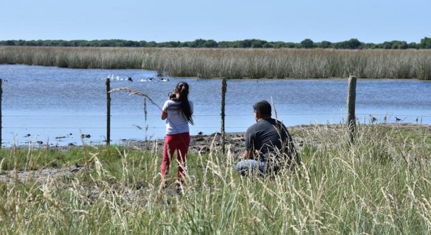 Realizarn el sbado una jornada de avistaje de aves e interpretacin de la naturaleza