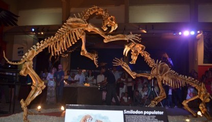 Inaugur la muestra de los Tigres dientes de sable