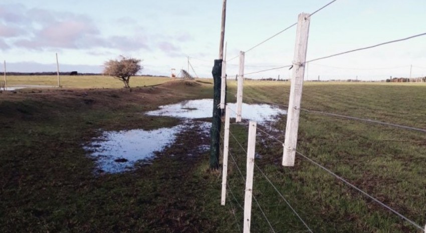 Qued suspendida la jornada de campo en 