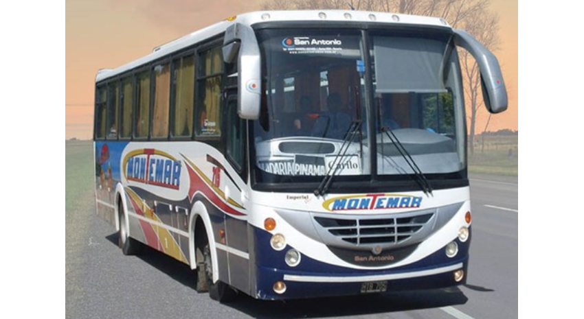 Fiesta Regional del Kiwi: A qu hora salen mnibus a Macedo?