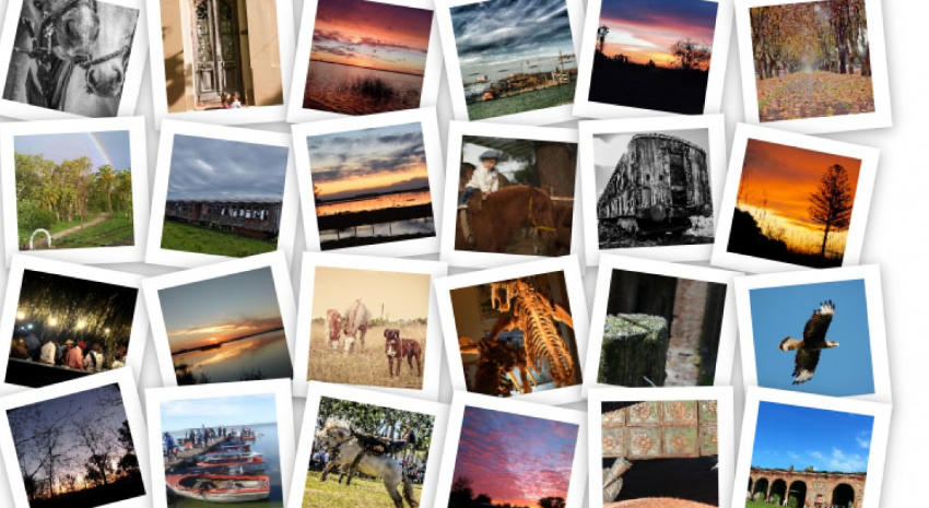 Finaliz la etapa participativa del concurso de fotografa 