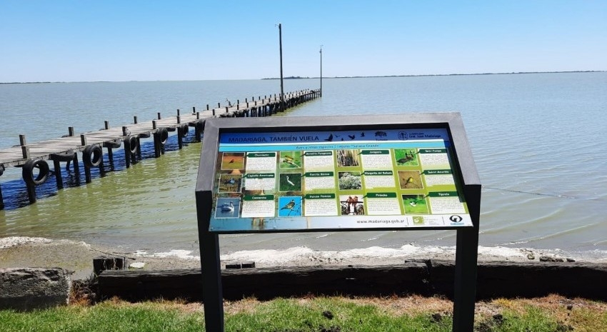 Impulsan el turismo de observacin de aves