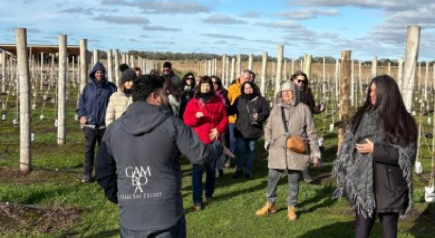 Con gran participaci�n, contin�an las visitas gratuitas de vecinos a Bodega Gamboa