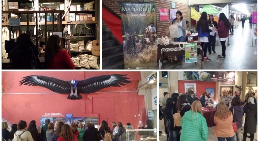 Evaluadores de la Feria de Ciencias recorrieron la ciudad