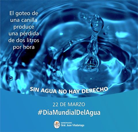 Un da para reflexionar sobre la importancia del agua