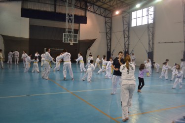 Clase abierta de Taekwondo