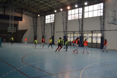 Handball femenino