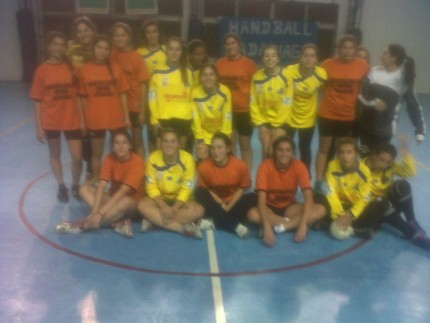 Liga femenina de handball