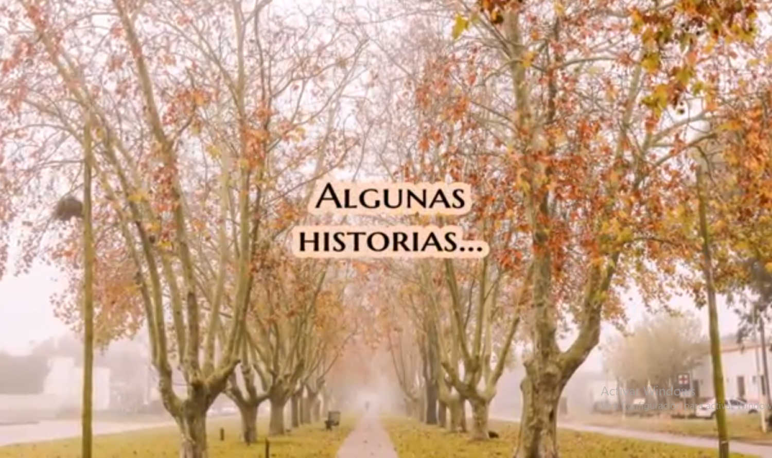 algunas historias