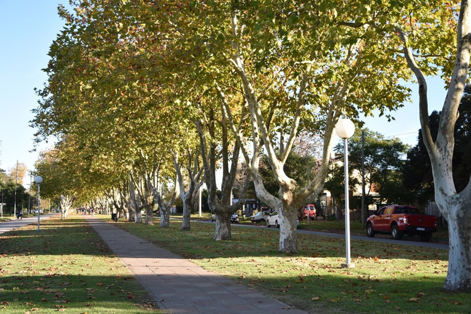 avenida buenos aires