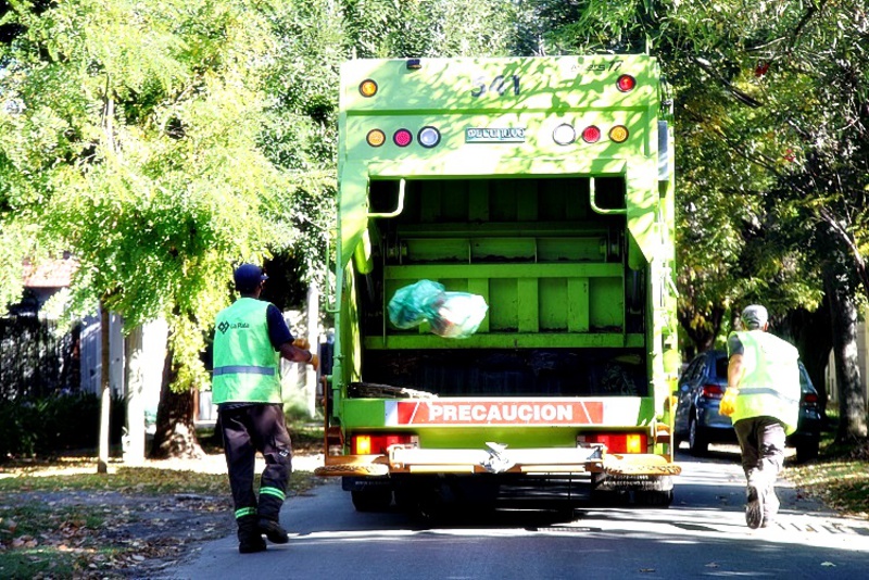 bolsas verdes