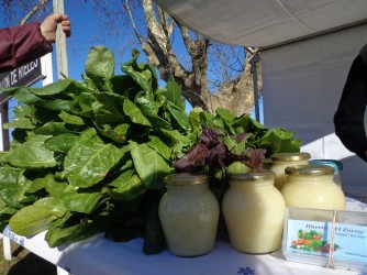 Verduras de la huerta y huevos de campo