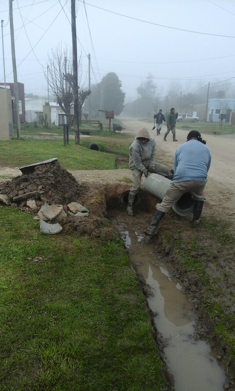 defensa cicil trabajos