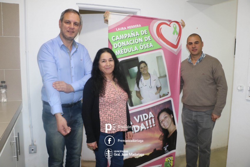 donacion de medula osea