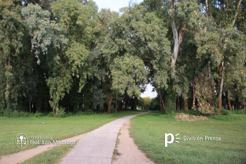 Distintos profesionales trabajan en el anteproyecto de un parque recre