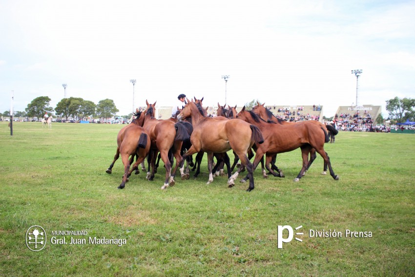 Exitoso cierre de la Semana Argentino Luna
