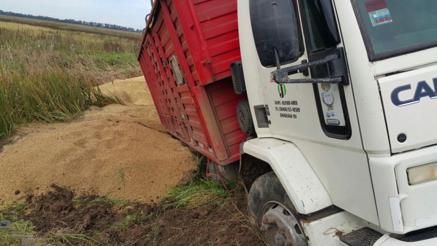 Multaron a un transportista que incumpli la ordenanza de transitabili