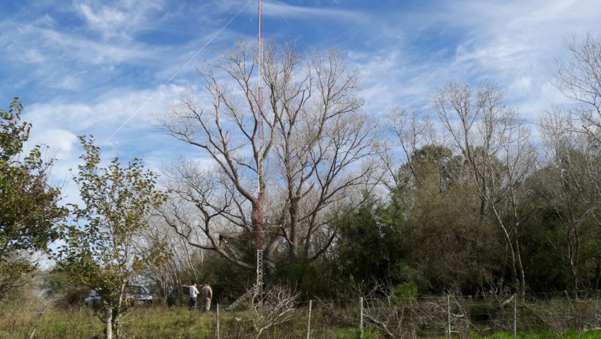 Iniciaron las obras para llevar internet a Macedo y Juancho