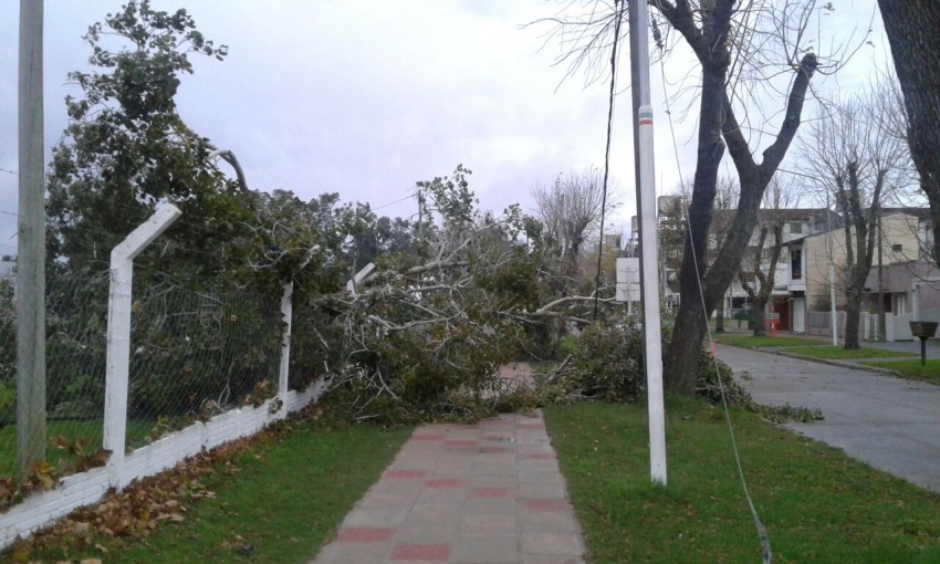 El viento provoc voladuras de techos, cada de rboles y corte genera