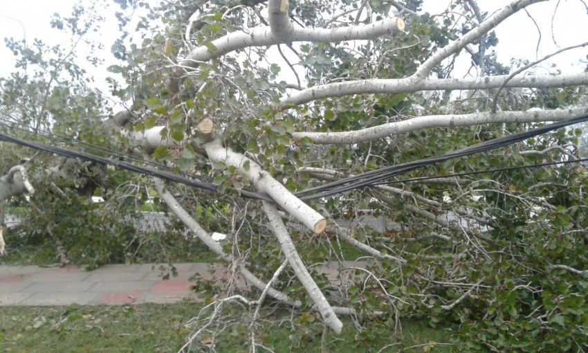 El viento provoc voladuras de techos, cada de rboles y corte genera