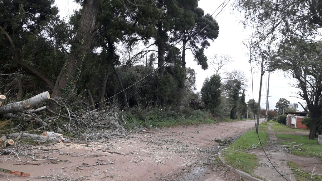 No se registran evacuados por el intenso temporal de viento