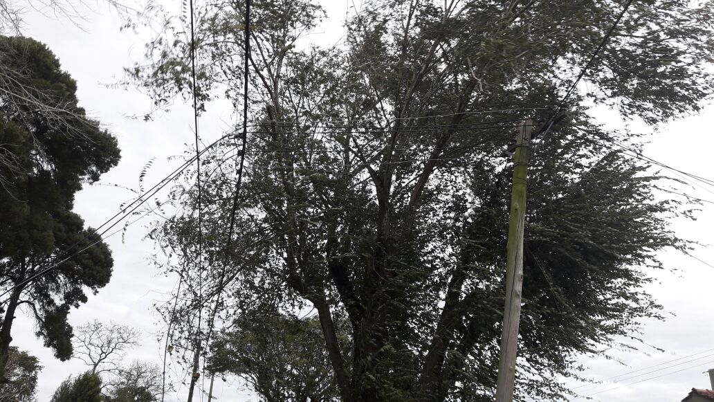 No se registran evacuados por el intenso temporal de viento