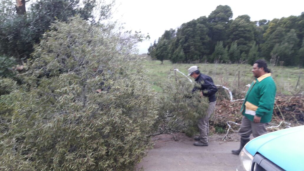 No se registran evacuados por el intenso temporal de viento