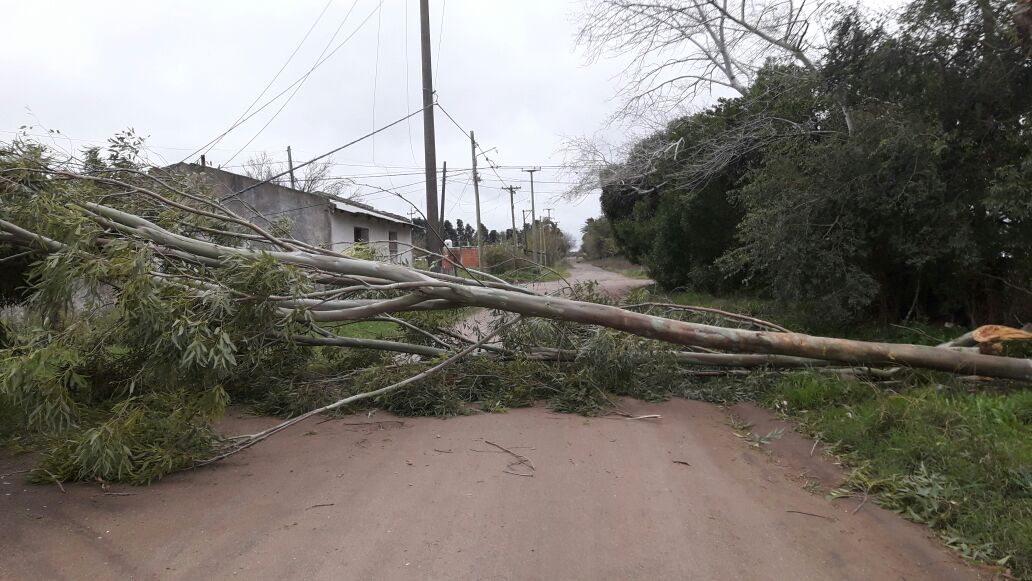 No se registran evacuados por el intenso temporal de viento