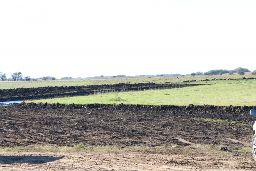 Santoro recorri el predio del Sector Industrial Planificado