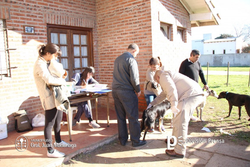 Hoy �ltimo d�a de vacunaci�n antirr�bica y desparasitaci�n en el barri