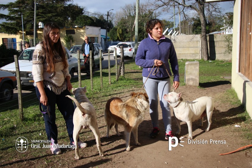 Hoy �ltimo d�a de vacunaci�n antirr�bica y desparasitaci�n en el barri