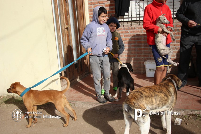 Hoy �ltimo d�a de vacunaci�n antirr�bica y desparasitaci�n en el barri