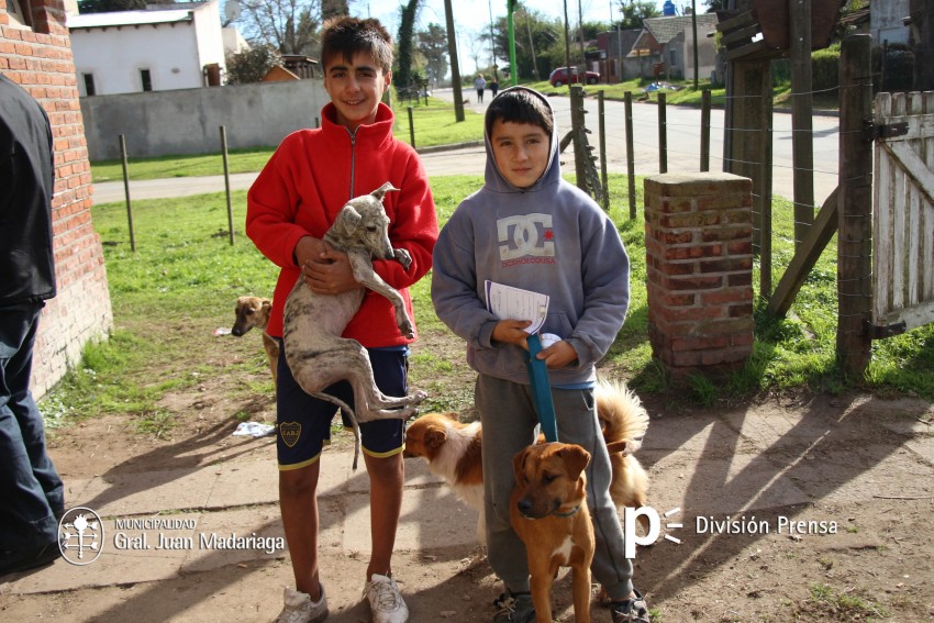 Hoy �ltimo d�a de vacunaci�n antirr�bica y desparasitaci�n en el barri