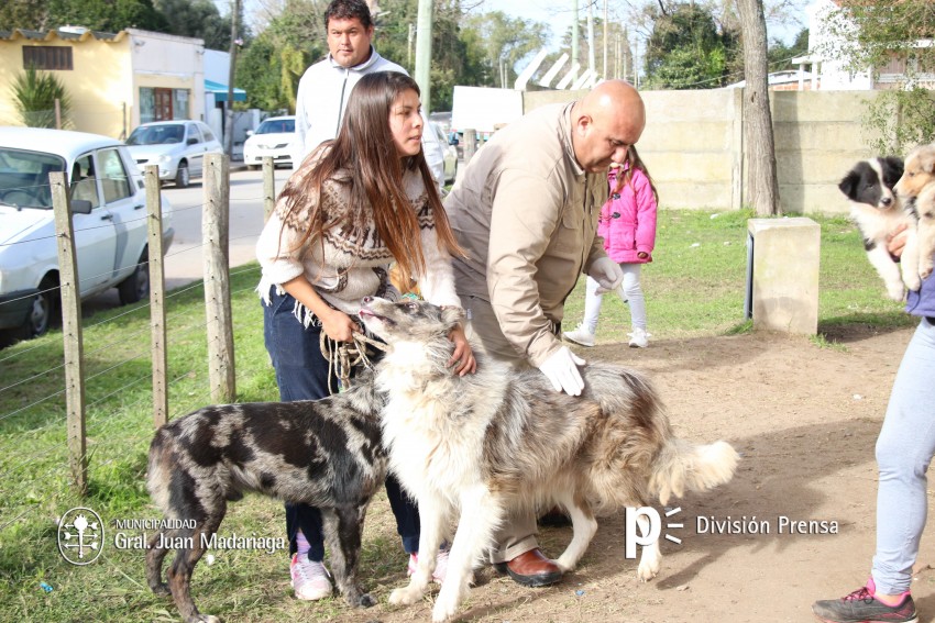Hoy �ltimo d�a de vacunaci�n antirr�bica y desparasitaci�n en el barri