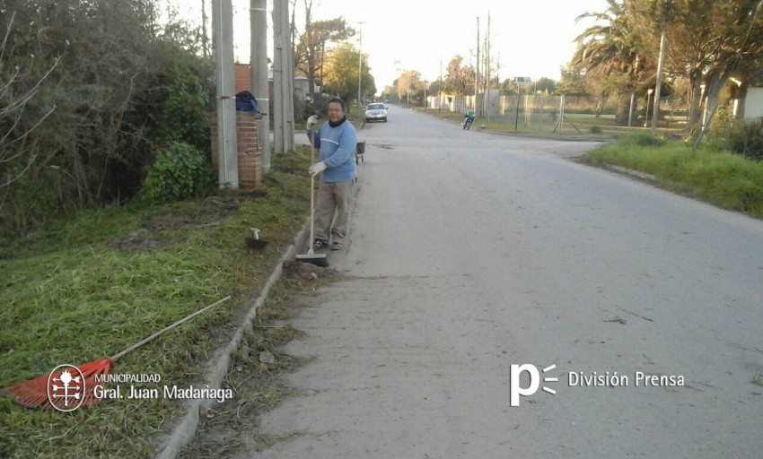 Nueva limpieza de terrenos baldos