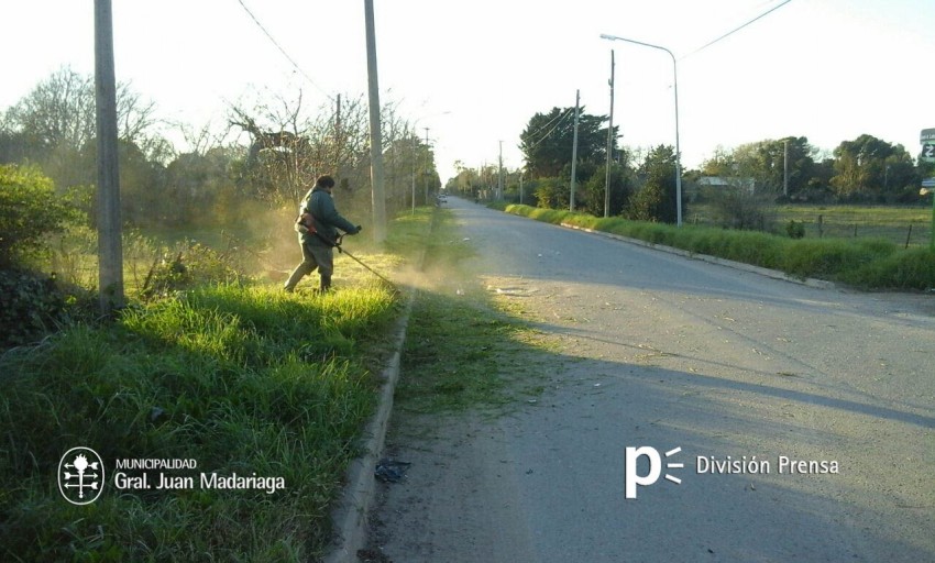 Nueva limpieza de terrenos baldos