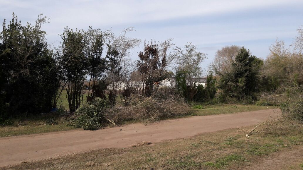 Culminaron las tareas de limpieza en otro terreno del barrio Quintanil