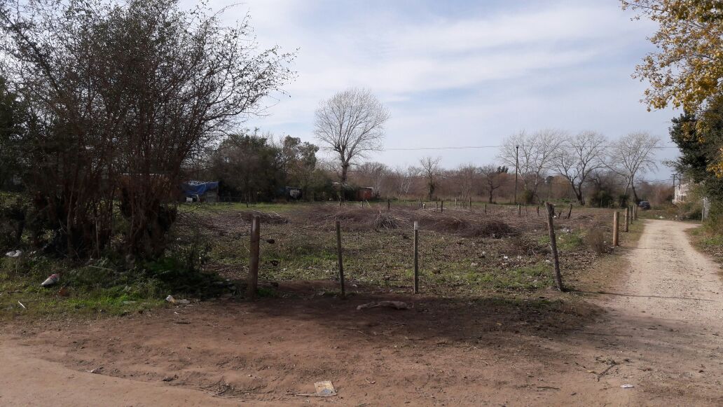 Culminaron las tareas de limpieza en otro terreno del barrio Quintanil