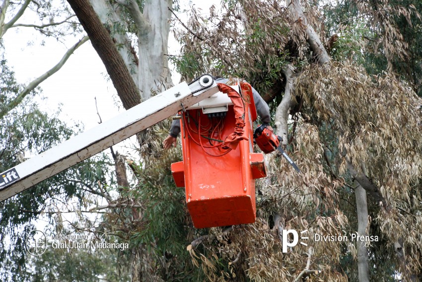 Mejoran la calle Mxico del barrio Belgrano