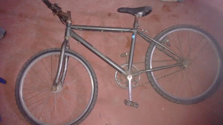 Allanamientos con resultados positivos por causas de robo y hurto