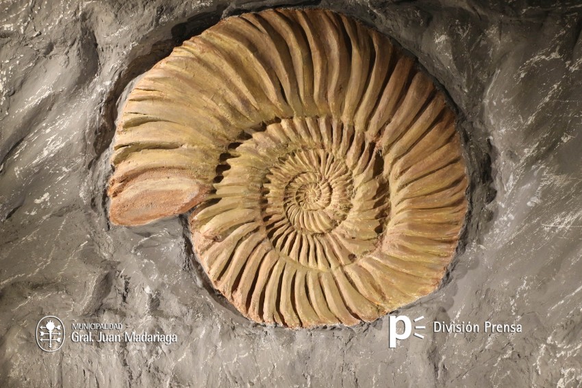 Exitosa presentacin en el Museo Tuy Mapu